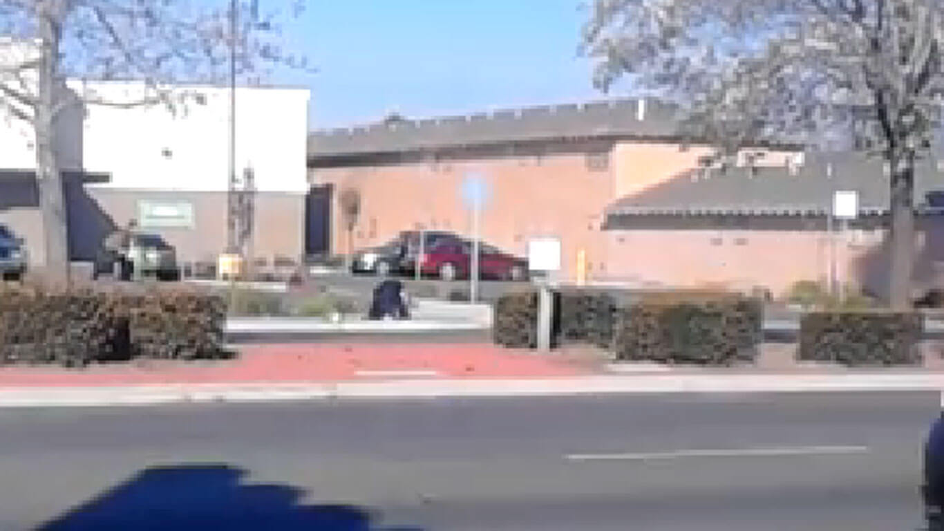 Bakersfield police filmed punching woman in face on side of the road